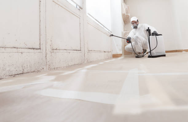 24/7 Emergency Black Mold Remediation experts in Thompsonville, PA
